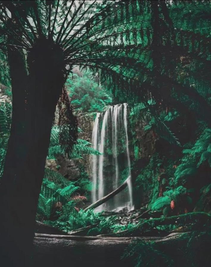Great Ocean Road Wellness And Nature Stay خليج أبولو المظهر الخارجي الصورة