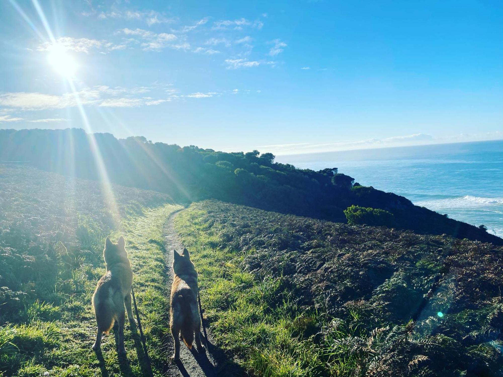 Great Ocean Road Wellness And Nature Stay خليج أبولو المظهر الخارجي الصورة