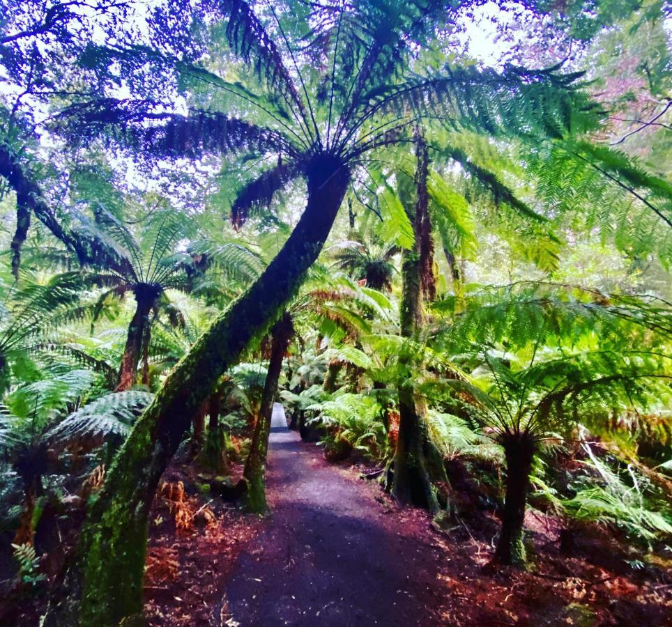 Great Ocean Road Wellness And Nature Stay خليج أبولو المظهر الخارجي الصورة
