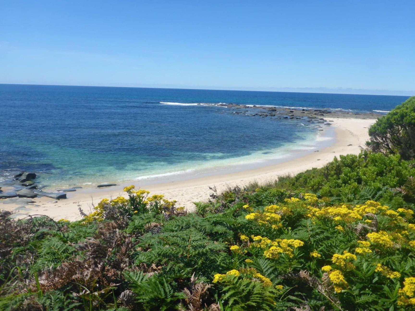 Great Ocean Road Wellness And Nature Stay خليج أبولو المظهر الخارجي الصورة