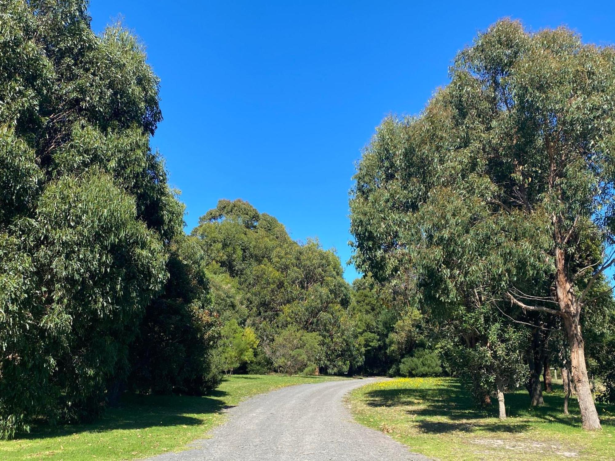 Great Ocean Road Wellness And Nature Stay خليج أبولو المظهر الخارجي الصورة